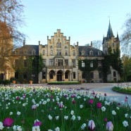 Die Gärten der Jacqueline van der Kloet