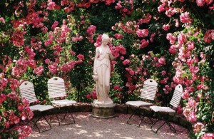 Rosengärten in Deutschland