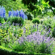 Blauer Garten: schön frisch und kühl
