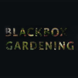 Blackbox Gardening [Ulmer Foto]