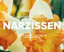 Narzissen: Leuchtende Frühlingsboten