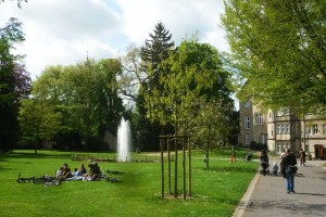 Die Deutschen lieben ihre Parks [BGL Foto]