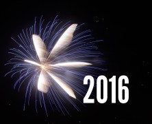 Gartenjahr 2016: frohes Neues!