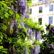 London: seine schönsten Gärten