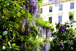 London: seine schönsten Gärten [DVA Foto]]