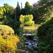 Wasser für den Garten: Quelle der Freude