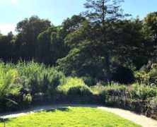 Der eigene Garten: Natur vor der Tür