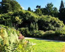 Naturnahe Gärten gestalten und pflegen