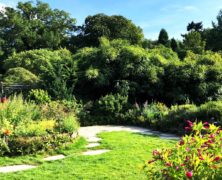 Der Garten: gestaltete Natur