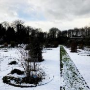 Schnee schützt Pflanzen vor Frost
