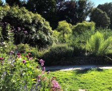 Gartenwert: Ein Garten wie gemalt