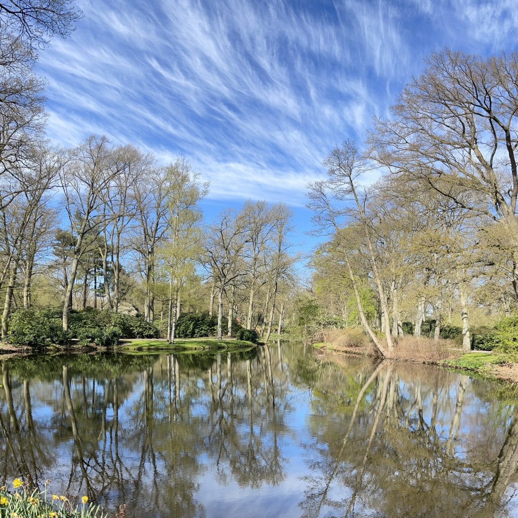 Teich im Frühling [GTD Foto]